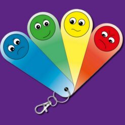 Alternative view of The Zones of Regulation Fan