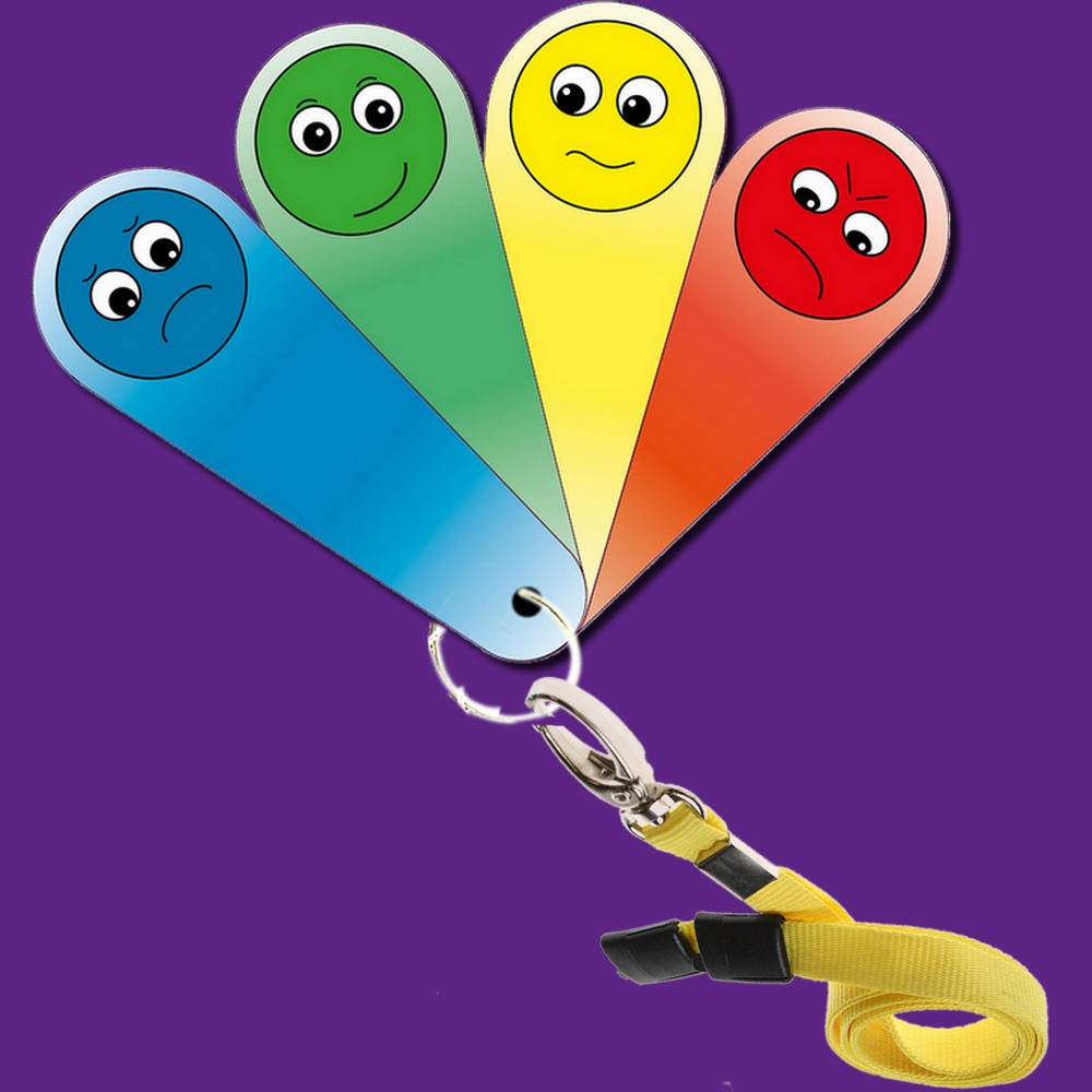 The Zones of Regulation Fan - Image 12